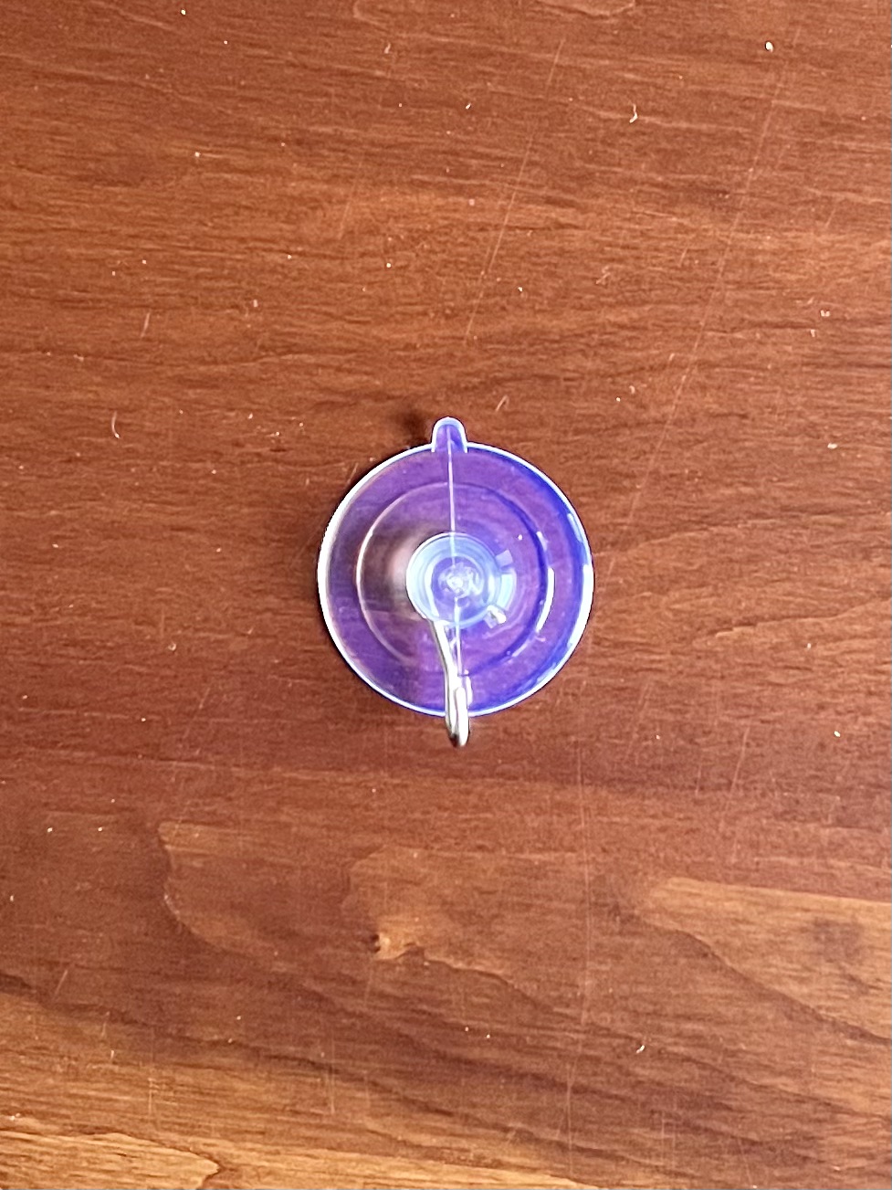 Suction Cup - Image 3