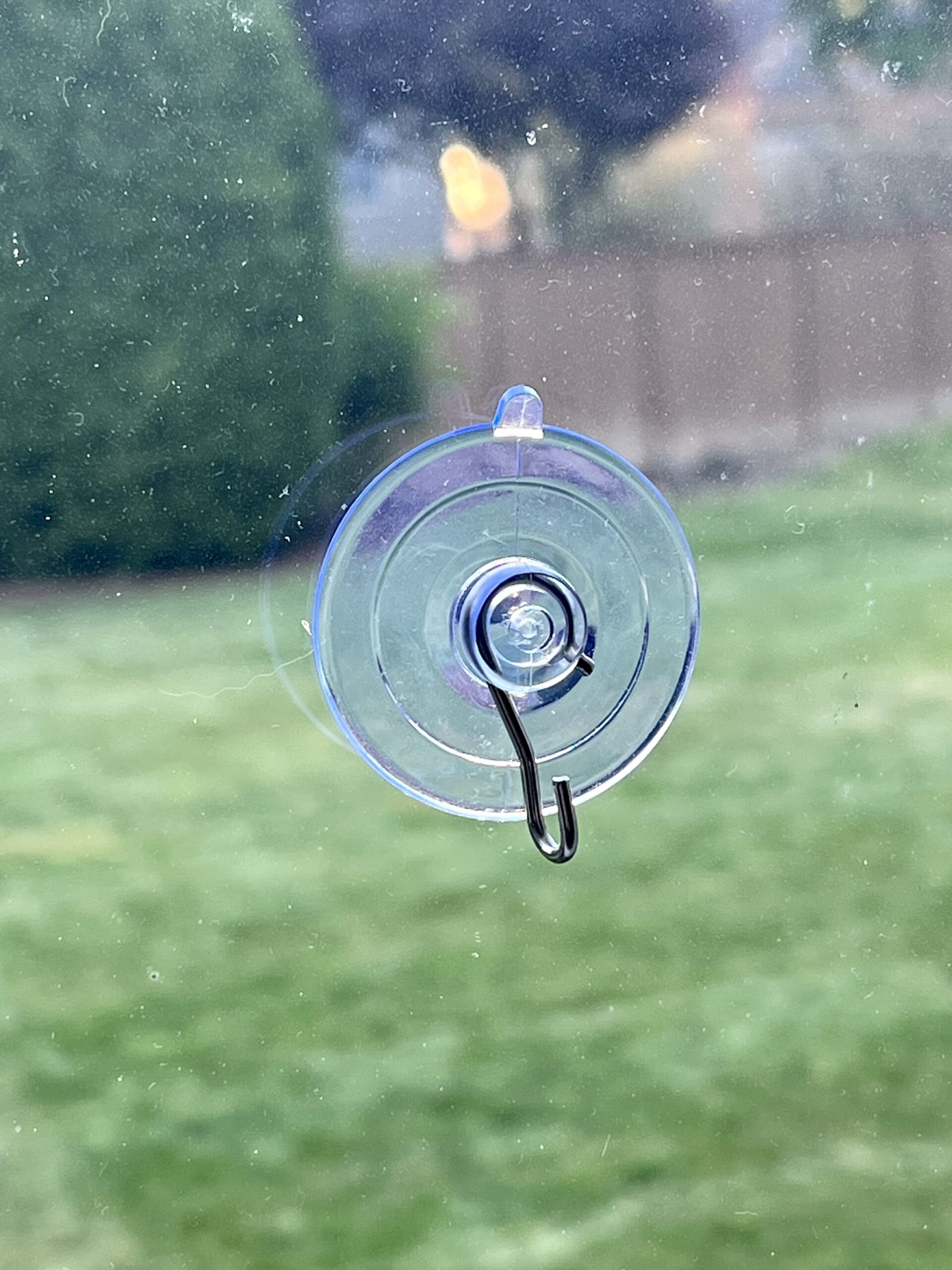 Suction Cup