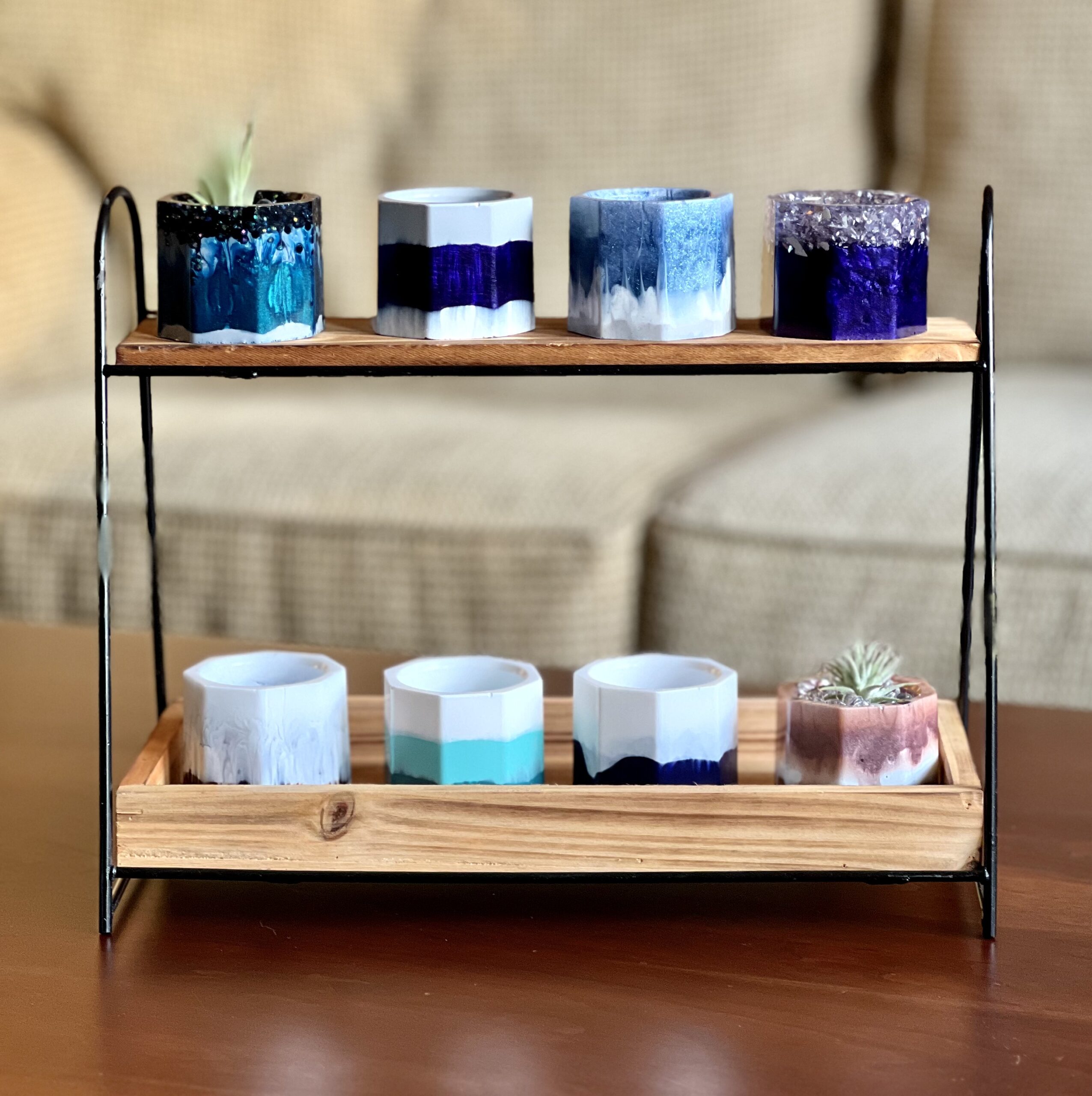 Air Plant & Beads for Small Pot - Image 3