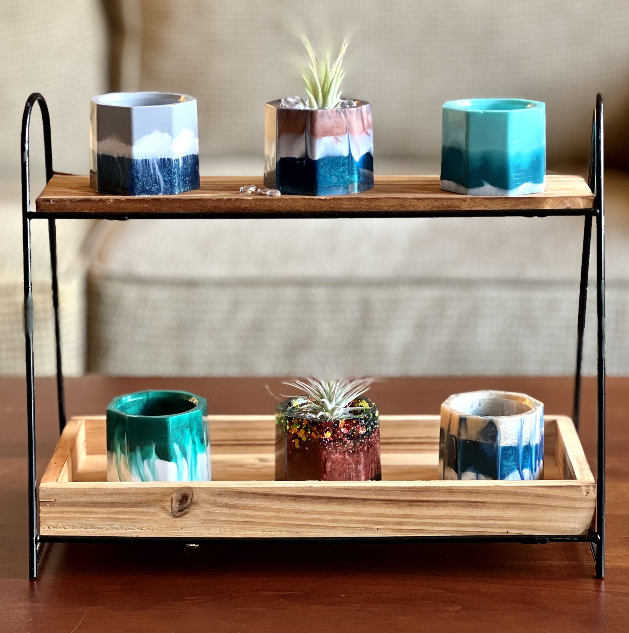 Air Plant & Beads for Small Pot - Image 5